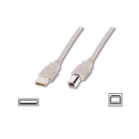 Kabel drukarkowy USB  2.0 A/M - USB B /M, 1,8 m beżowy-830393